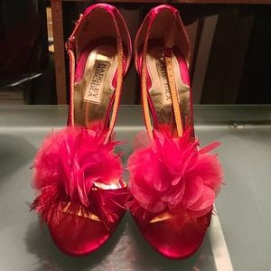 Badglet Mischka KIWI US 9M